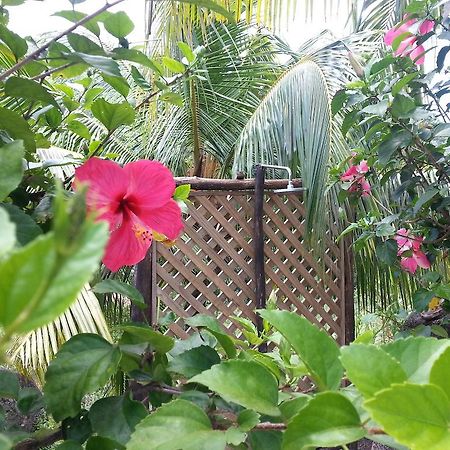 Zanboza Guesthouse La Digue Εξωτερικό φωτογραφία